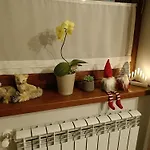 Karpetówka Kluszkowce