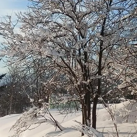 Karpetowka Apartman *